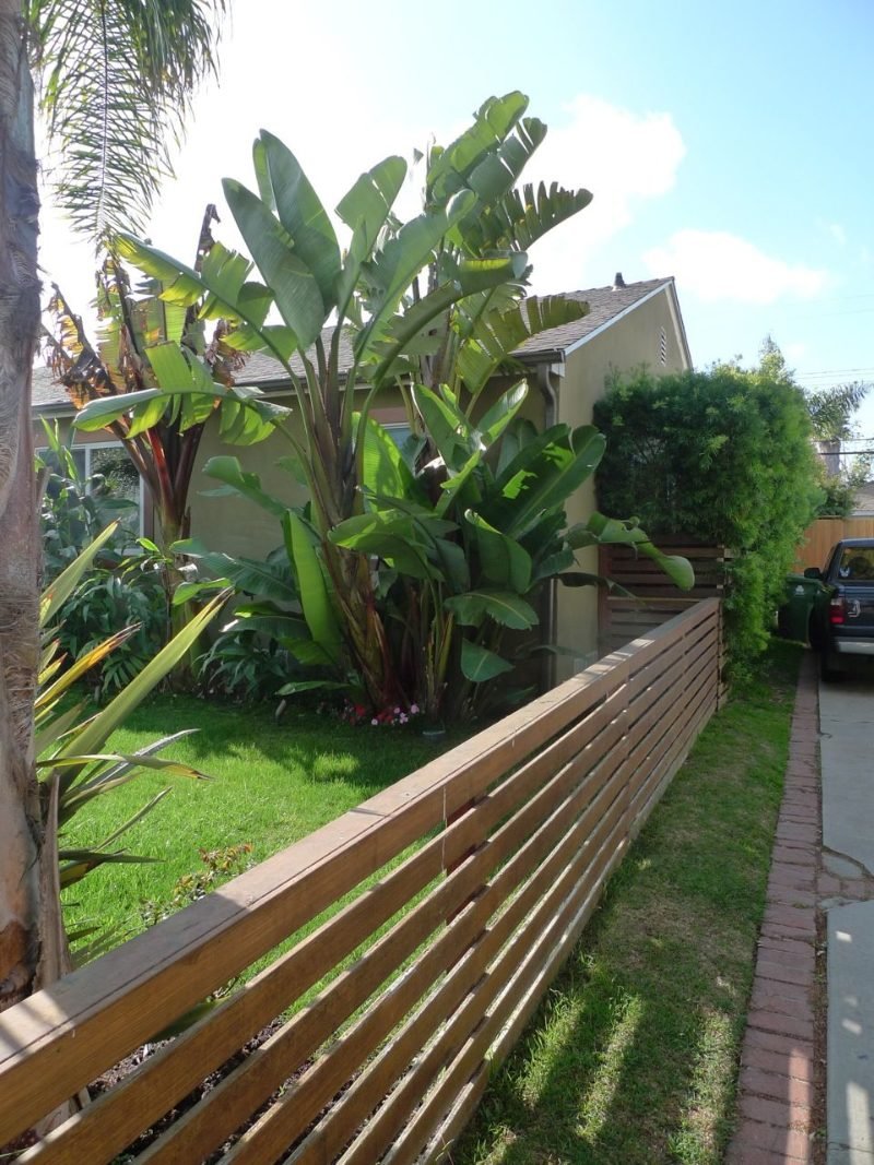 Deck & Fence Builder project in Bakersfield
